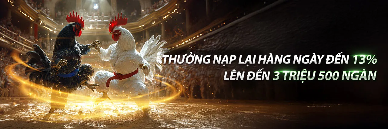 Sân vận động với không khí sôi động của cá cược thể thao 88vi